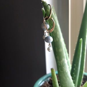 14k gold blue salt water pearl earrings